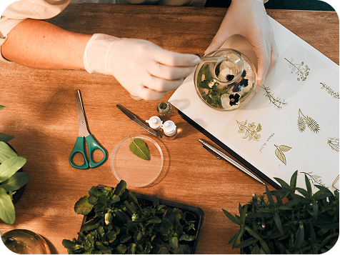 Botanical selection