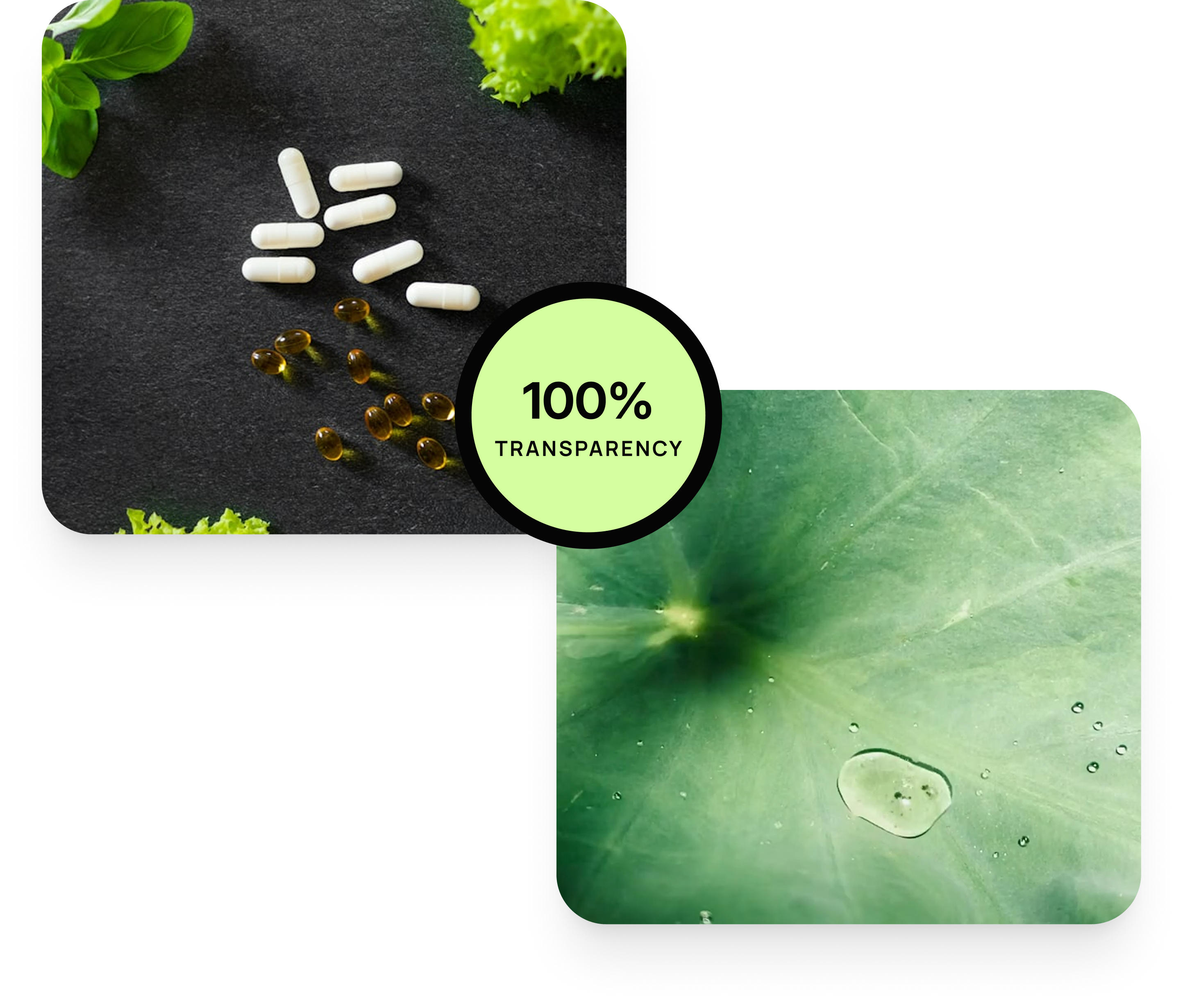 Vegan Capsules